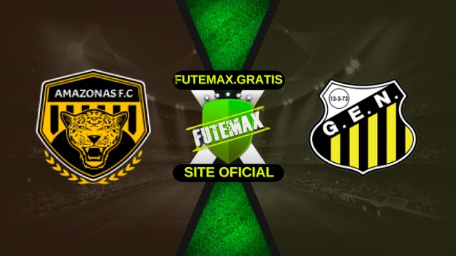 Assistir Amazonas x Novorizontino ao vivo HD 17/10/2025