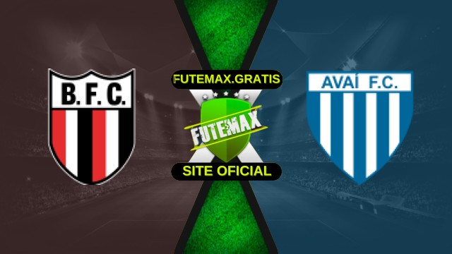 Assistir Botafogo-SP x Avaí ao vivo HD 23/11/2025