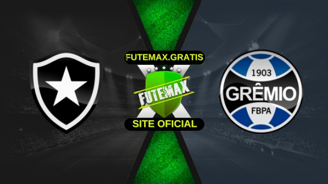 Assistir Botafogo X Grêmio ao vivo HD 22/11/2025