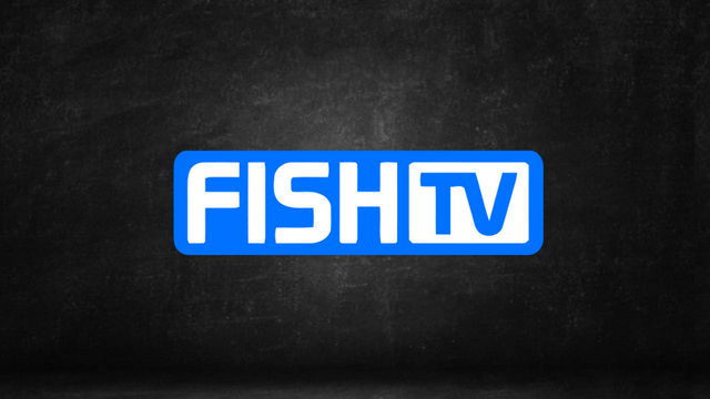 Assistir Fish TV ao vivo HD 24 horas online grátis ao Vivo