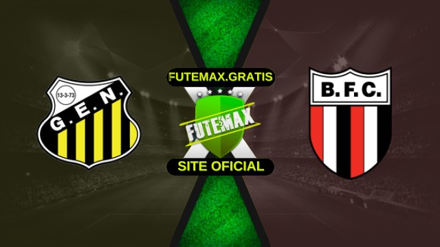 Assistir Novorizontino x Botafogo-SP ao vivo HD 24/10/2025